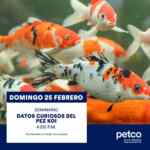 Seminarios Gratuitos Petco Fin de semana 24 y 25 de febrero