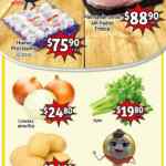 Folleto Soriana Mercado media semana del 20 al 22 de febrero 2024