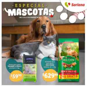 Imagen de la promo