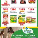 Folleto Bodega Aurrerá Inspiro el Cambio al 8 de abril 2024