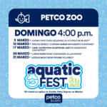 Petco ofrece actividades para mascotas GRATIS durante esta Semana Santa