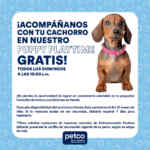 Petco ofrece actividades para mascotas GRATIS durante esta Semana Santa