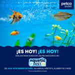 Aquatic Fest Petco: 50% de descuento en acuarios y más