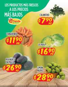 Imagen de la promo