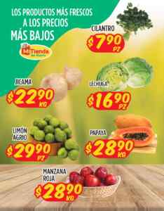 Imagen de la promo