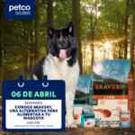 Seminarios gratuitos Petco fin de semana: “Conoce Bravery, Una Alternativa para Alimentar a tu Mascota” y “Los Diferentes Tipos de Acuario y sus Cuidados”