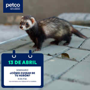 Imagen de la promo