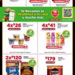 Folleto Bodega Aurrerá Preventa Hot Sale 2024 el 13 y 14 de mayo