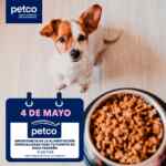 Aprendiendo con Petco fin de semana: “Importancia de Alimentación para Perrito de raza pequeña” y “Aves más Populares como Mascota”