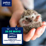 Aprendiendo con Petco Gratis Fin de semana 25 y 26 de mayo