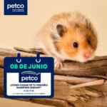 Aprendiendo con Petco Gratis fin de semana: “¿Cómo cuidar a tu pequeño mamífero senior?” y “Aprendiendo a ir al baño”
