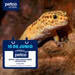 Aprendiendo con Petco Gratis fin de semana: “Mitos y Realidades sobre los Reptiles” y “La Importancia de la Alimentación para tu Macota Senior”