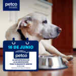 Aprendiendo con Petco Gratis fin de semana: “Mitos y Realidades sobre los Reptiles” y “La Importancia de la Alimentación para tu Macota Senior”