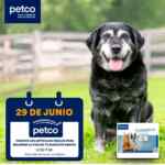 Aprendiendo con Petco Gratis fin de semana: “Conoce los artículos ideales para mejorar la vida de tu mascota senior” y “Características y cuidados de las tortugas”