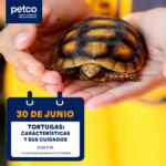 Aprendiendo con Petco Gratis fin de semana: “Conoce los artículos ideales para mejorar la vida de tu mascota senior” y “Características y cuidados de las tortugas”