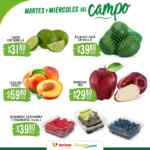 Folleto Soriana Súper Martes y Miércoles del Campo 4 y 5 de junio 2024