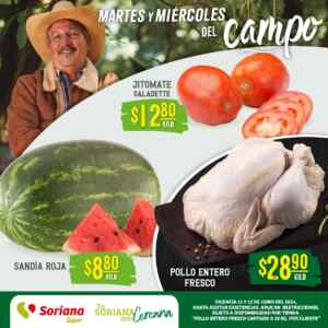 Imagen de la promo