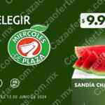 Ofertas Miércoles de Plaza 12 de junio 2024 en la Comer y Fresko