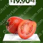Ofertas Miércoles de Plaza 12 de junio 2024 en la Comer y Fresko
