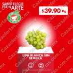 Ofertas Miércoles de Plaza 26 de junio 2024 en la Comer y Fresko