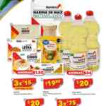 Folleto Bodega Aurrerá Canasta Básica Julio 2024 con productos desde $5.50