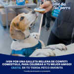Promoción Petco Día del Perro: Galleta para tu perro GRATIS hoy y charm de regalo con tus compras