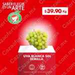 Ofertas Miércoles de Plaza 10 de julio 2024 en la Comer y Fresko