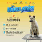 Huellatón Fundación Azteca: Regístrate y vacuna GRATIS a tus mascotas este sábado