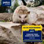 Aprendiendo con Petco Gratis fin de semana: 2 de noviembre 2024