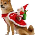 Disfraz de amigo de Santa Claus para perro con elfo baja a un gran precio