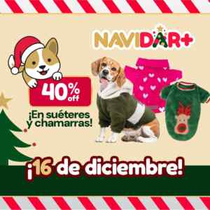 Imagen de la promo