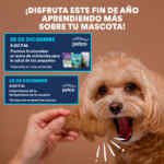 Aprendiendo con Petco Gratis fin de semana: 28 y 29 de diciembre 2024