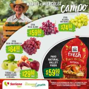 Imagen de la promo