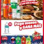 Folleto Navidad Zorro Abarrotero al 31 de diciembre 2024