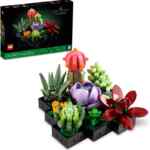 Set de construcción Lego Botanicals colección de flores Suculentas baja a su menor precio