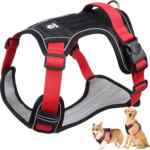 Arnés ajustable para perro baja a su menor precio