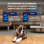 Aprendiendo con Petco Gratis fin de semana: 1 y 2 de febrero 2025