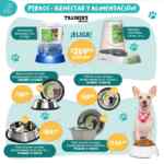 Folleto Especial Mascotas Soriana al 26 de febrero 2024