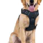 Arnés para perros baja a un excelente precio con un gran descuento