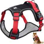 Arnés ajustable para perro baja a un excelente precio