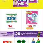 Folleto Bodega Aurrerá Precio Bodega del 30 de enero al 26 de febrero 2025