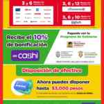 Folleto Bodega Aurrerá Precio Bodega del 30 de enero al 26 de febrero 2025