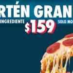 Pizza de sartén grande de 1 ingrediente a sólo $159 en Domino's