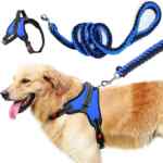 Pechera con collar para perro baja a un gran precio
