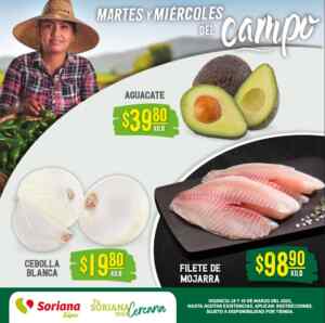 Imagen de la promo