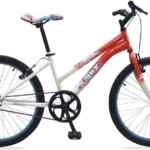 Bicicleta de montaña Benotto Lynx R24 baja a su menor precio