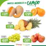 Folleto Soriana Súper Martes y Miércoles del Campo 22 y 23 de abril 2025