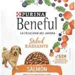 Alimento para mascotas Purina Beneful Salud Radiante de 4 kg baja a su menor precio