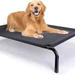 Cama elevada de perro de tamaño extra grande baja a su menor precio