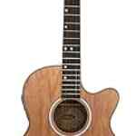 Guitarra electro acústica Washburn Natural baja a su menor precio